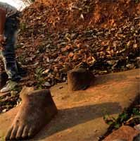 Transnational Crime in the Developing World